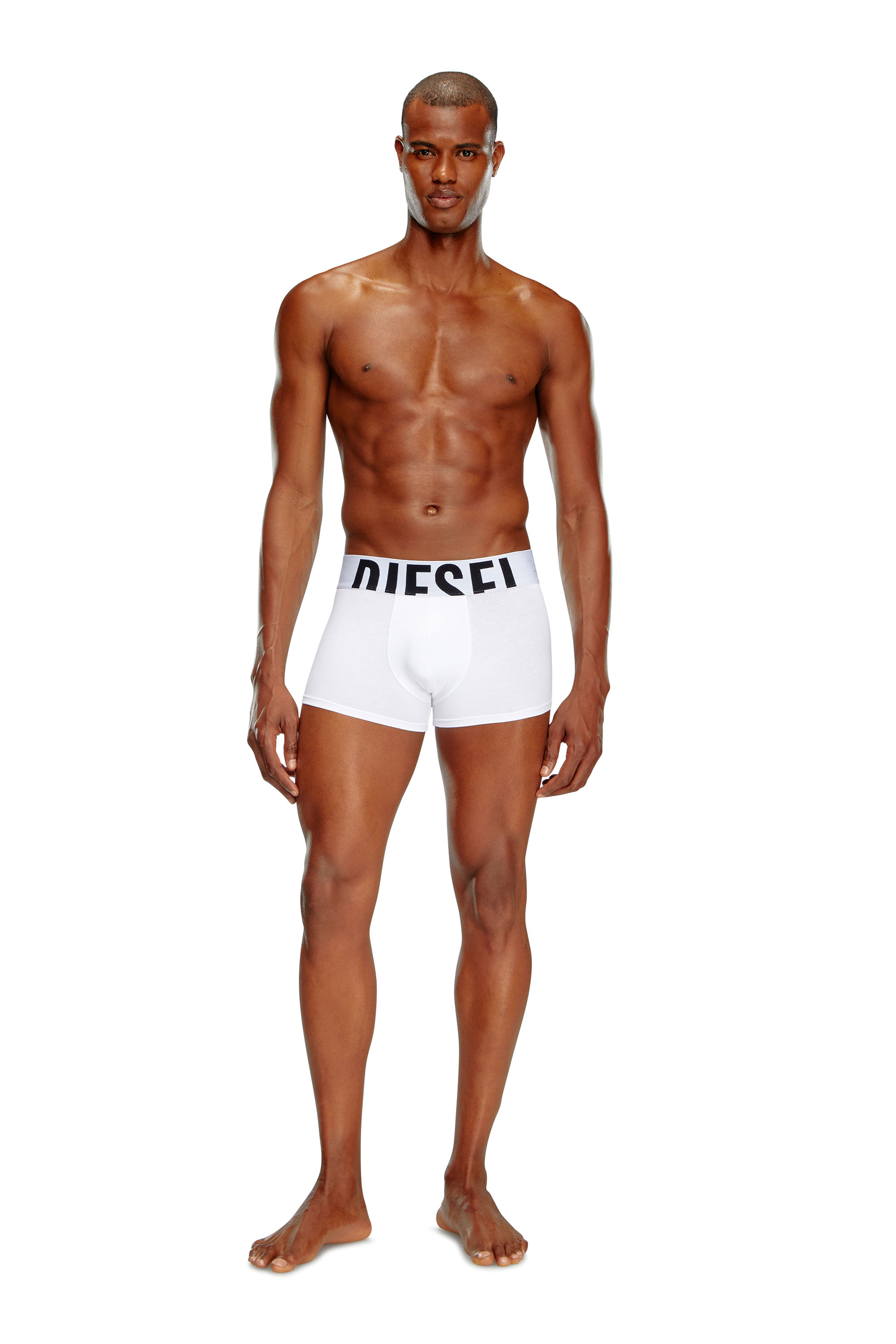 Diesel - UMBX-DAMIENTHREEPACK-5.5EL, Man's Three-pack boxer briefs in stretch cotton in Black/White - 1