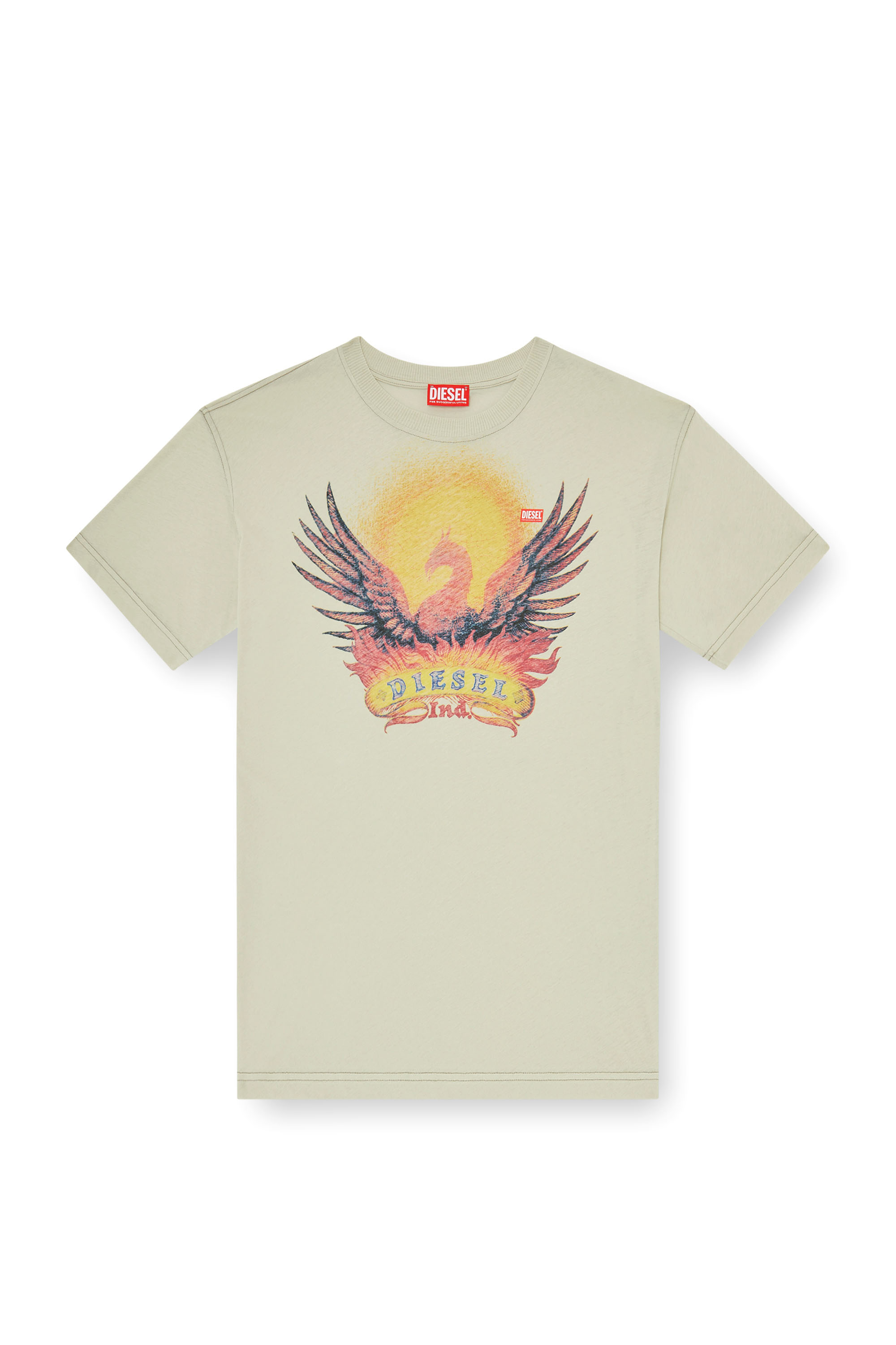 Diesel - T-NORM-AA1, Man's Regular T-shirt with Phoenix print in Beige - 3