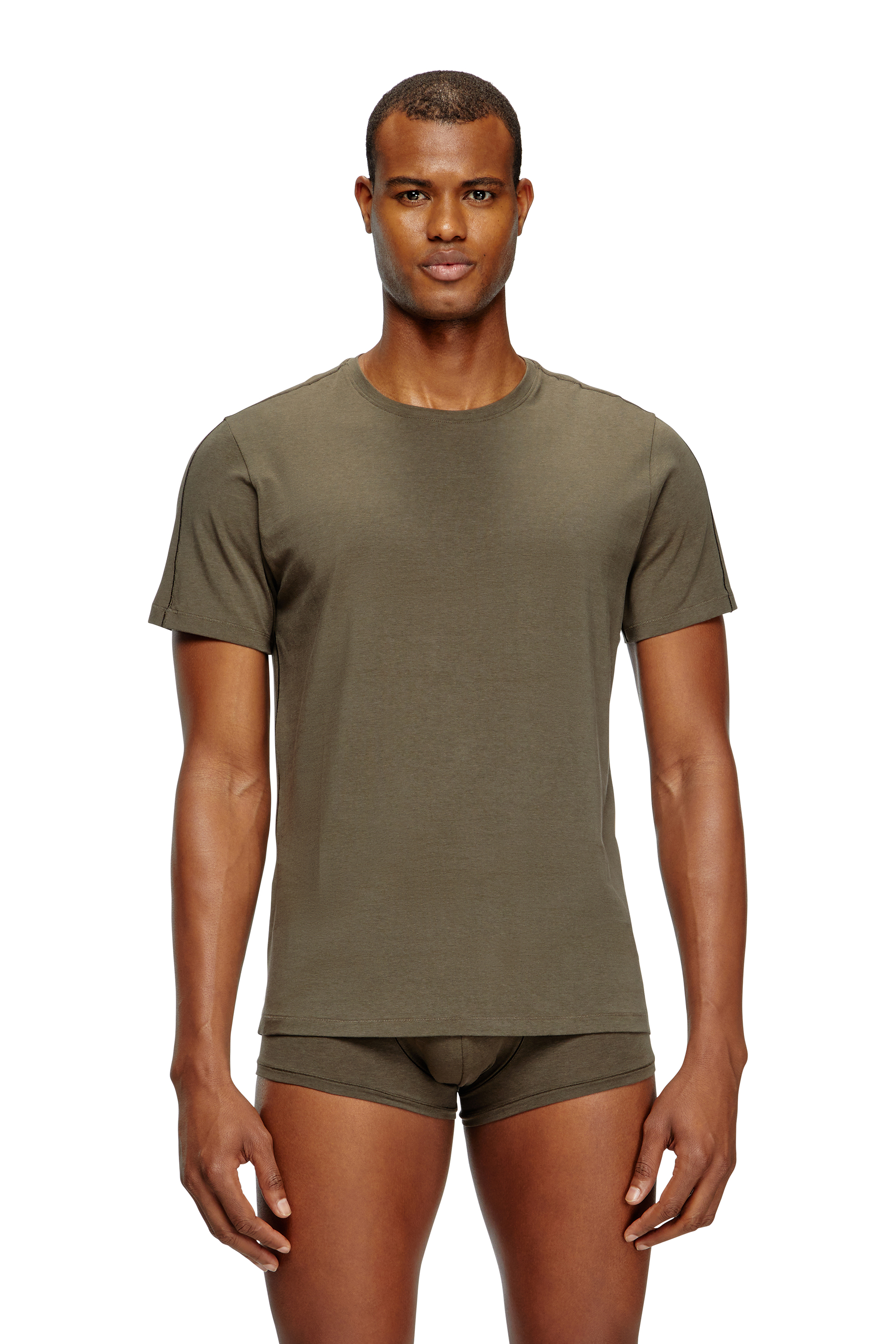 Diesel - RANDAL-D-MONO-2PACK, Man's 2-pack T-shirts in fluid jersey in Green/Blue - 3