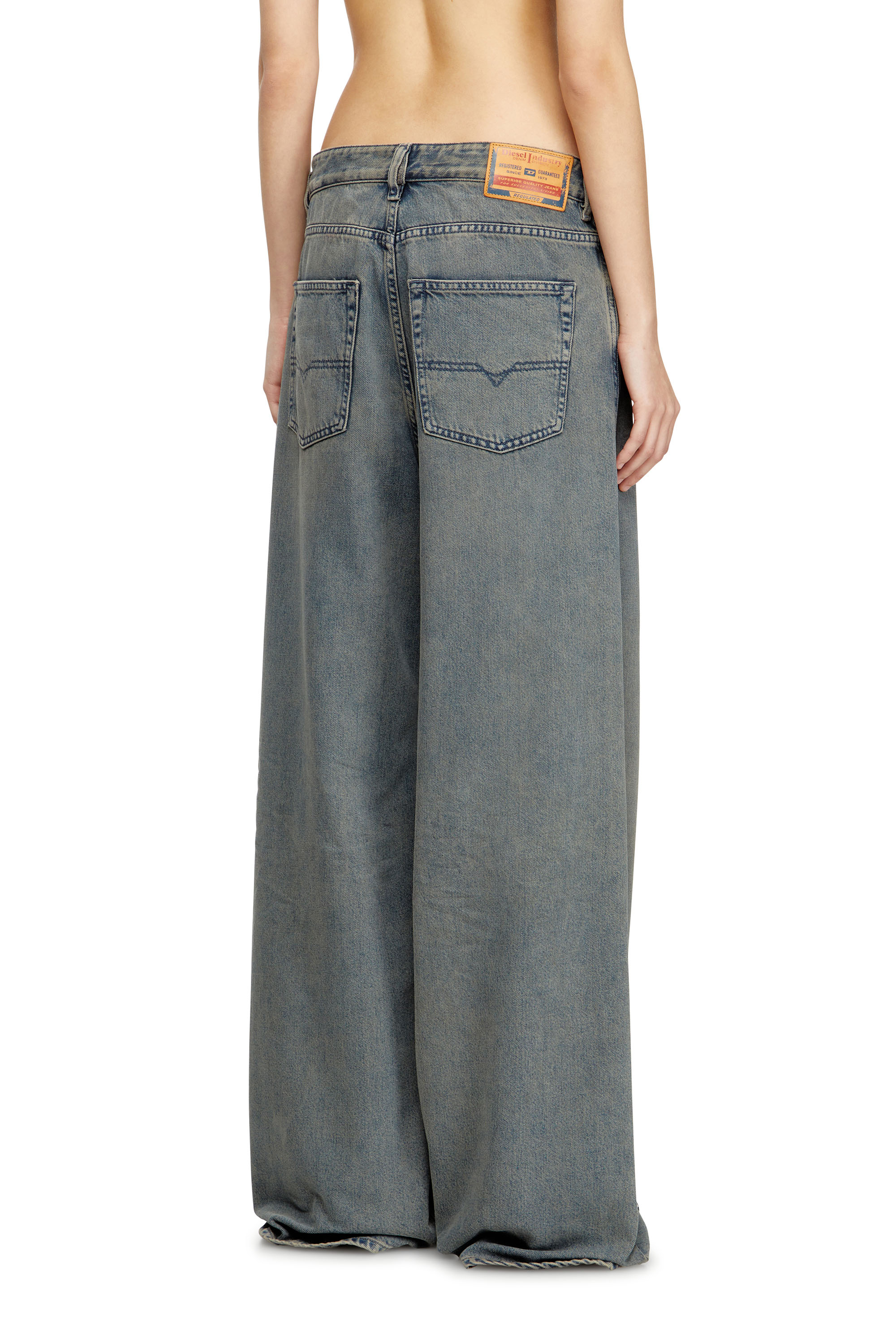 Relaxed Jeans 1996 D-Sire 09N24, Medium blue Diesel - Woman's Relaxed Jeans 1996 D-Sire 09N24, Medium blue - 4